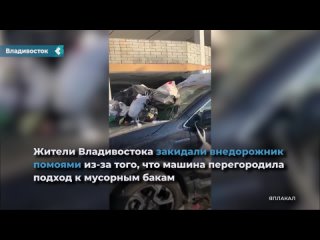 residents of vladivostok threw slop on the suv because the car blocked the approach to the garbage cans